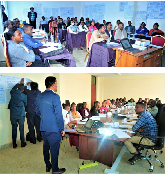 A Workshop on Entrepreneurship Training