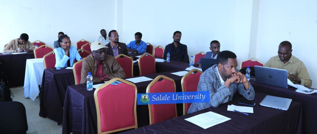 Salale University College of Business and Economics Hosts Research Validation Workshop
