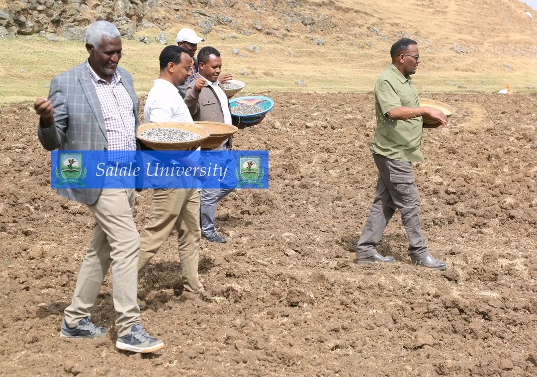 Yuunivarsiitiin Salaalee Aanaa Qimbibiititti Sanyii Qamadii Gosa Liimmuu Kuntaala 300 Dhiyeessuun Facaasaa Jalqabsiise