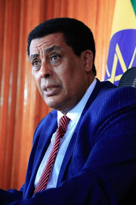 Ambassador Dina Mufti